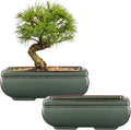 Ceramic Bonsai Pots with Drainage Hole Set of 2 - Elegant Green