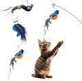 Chirping Bird Replacement Heads for Cat Toys - Realistic Feather Play