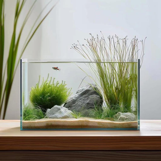 10 Gallon Glass Fish Tank for Betta, Goldfish, and Snails