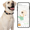 GPS Pet Tracker 4G Live Tracking for Dogs - Real-Time Safety