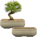 Ceramic Bonsai Pots Set of 2 with Drainage for Indoor Outdoor Use