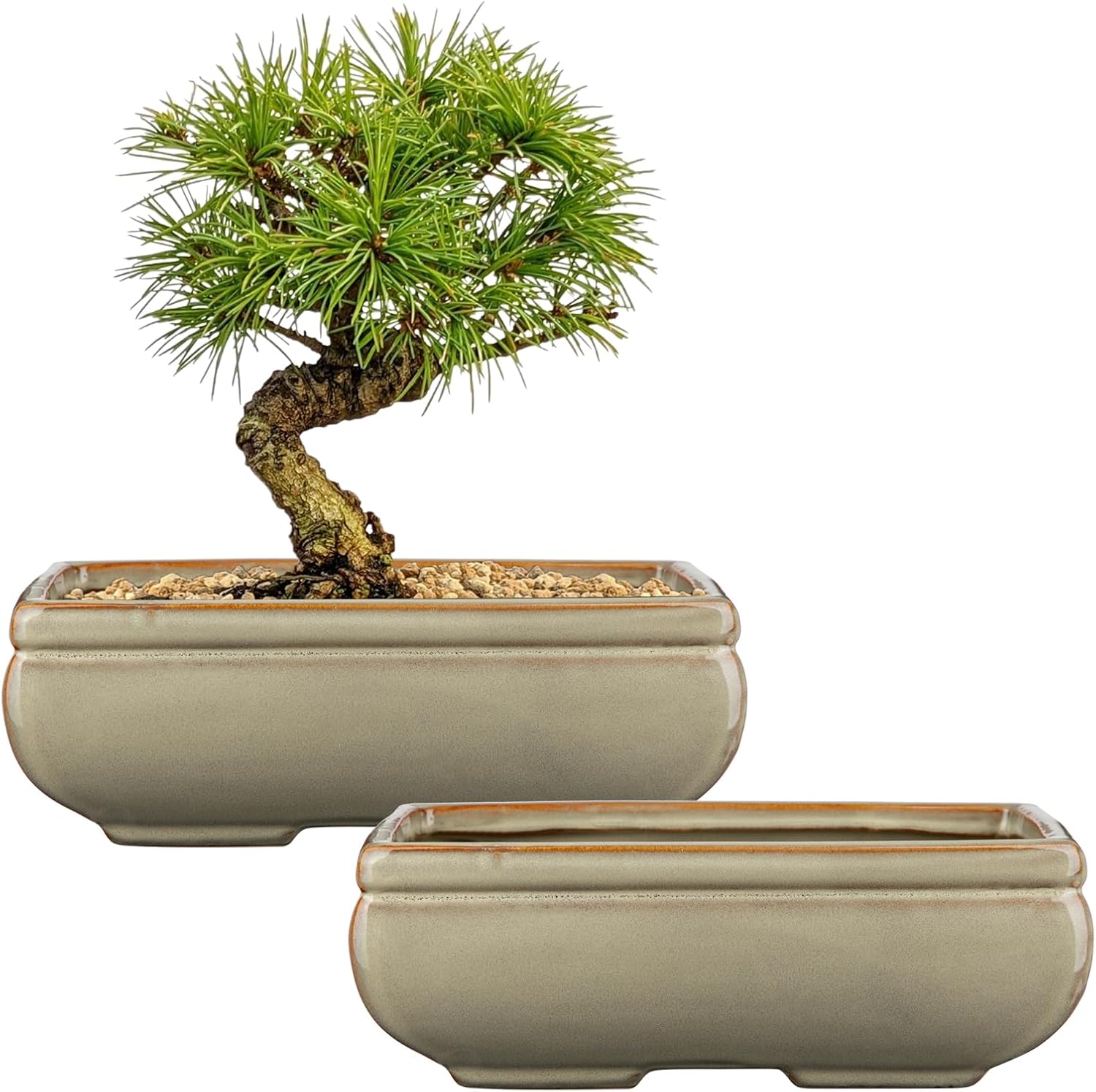 Ceramic Bonsai Pots Set of 2 with Drainage for Indoor Outdoor Use