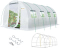 KING BIRD Premium 20x10x6.6FT Greenhouse - Large Reinforced Walk-in