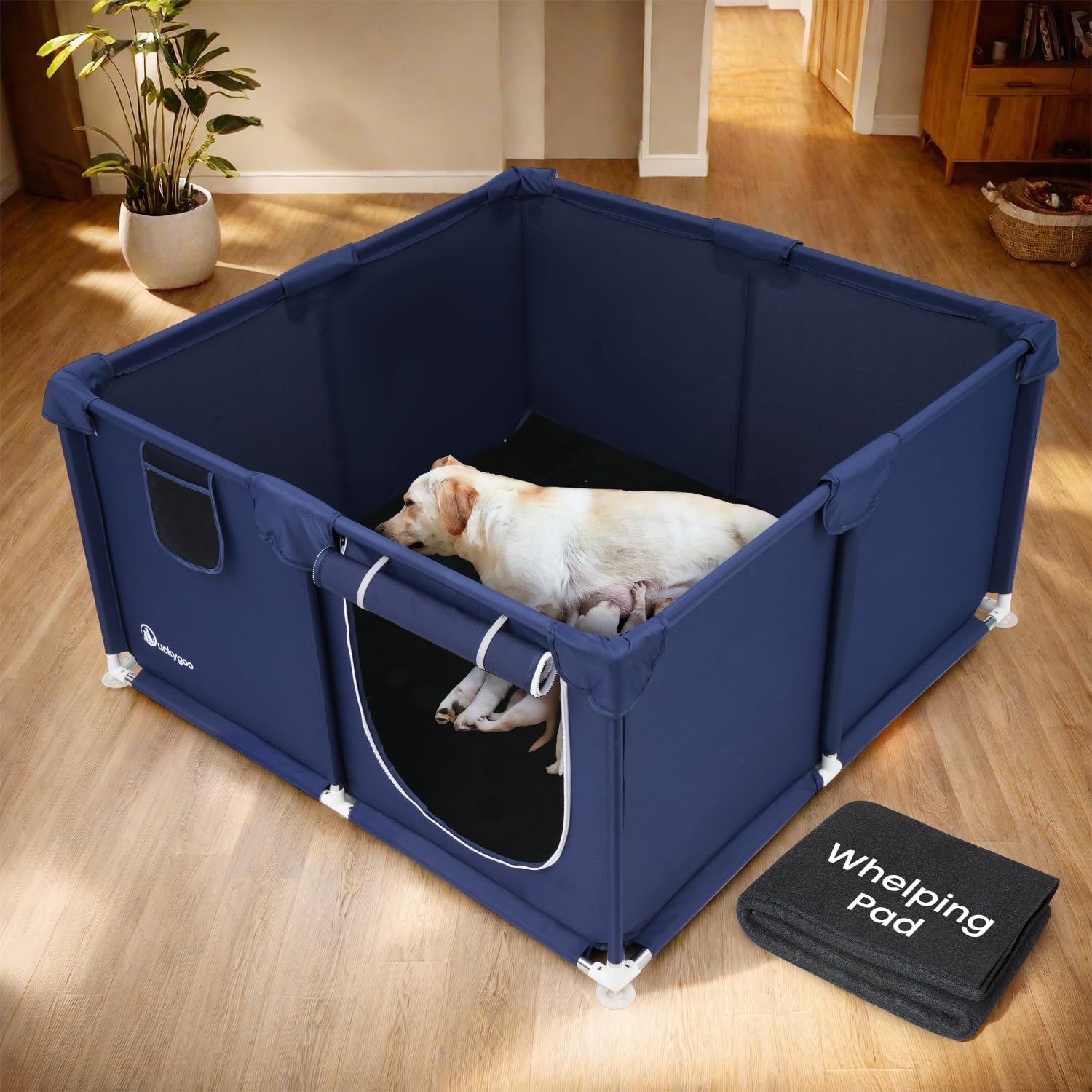 Whelping Box for Dogs - Spacious 50x50x25 in Play Pen