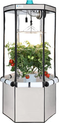 Grow 9 Flowering Plants Indoor with AeroSpring