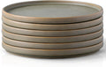 AmorArc Stoneware Dinner Plates Set of 6 10.5 in - Reactive Matte