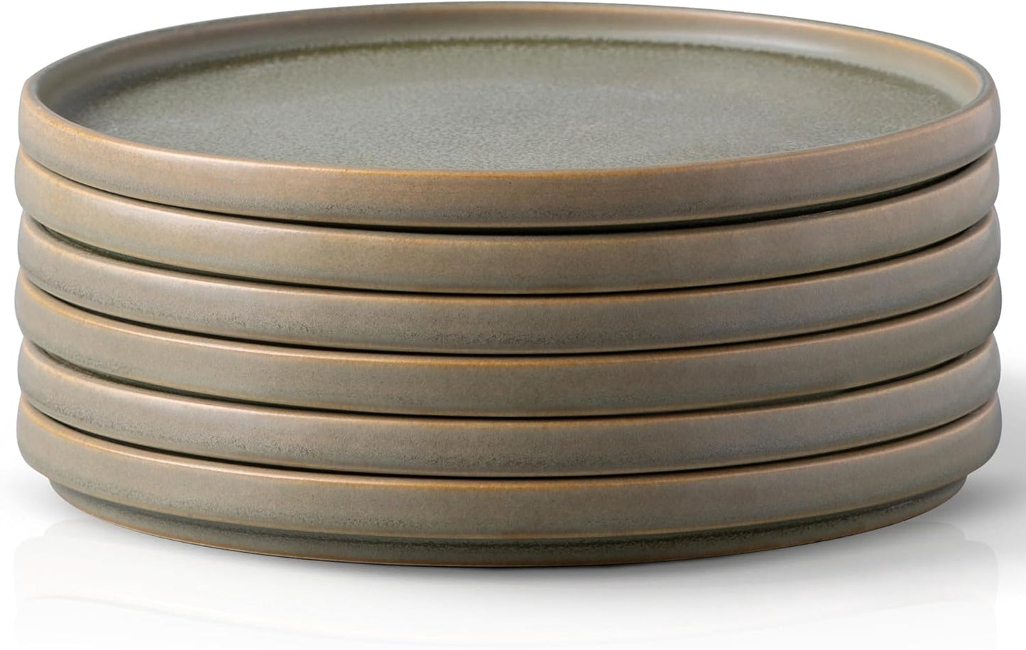 Unique Stoneware Dinner Plates Set of 6, 10.5 Inch Ceramic