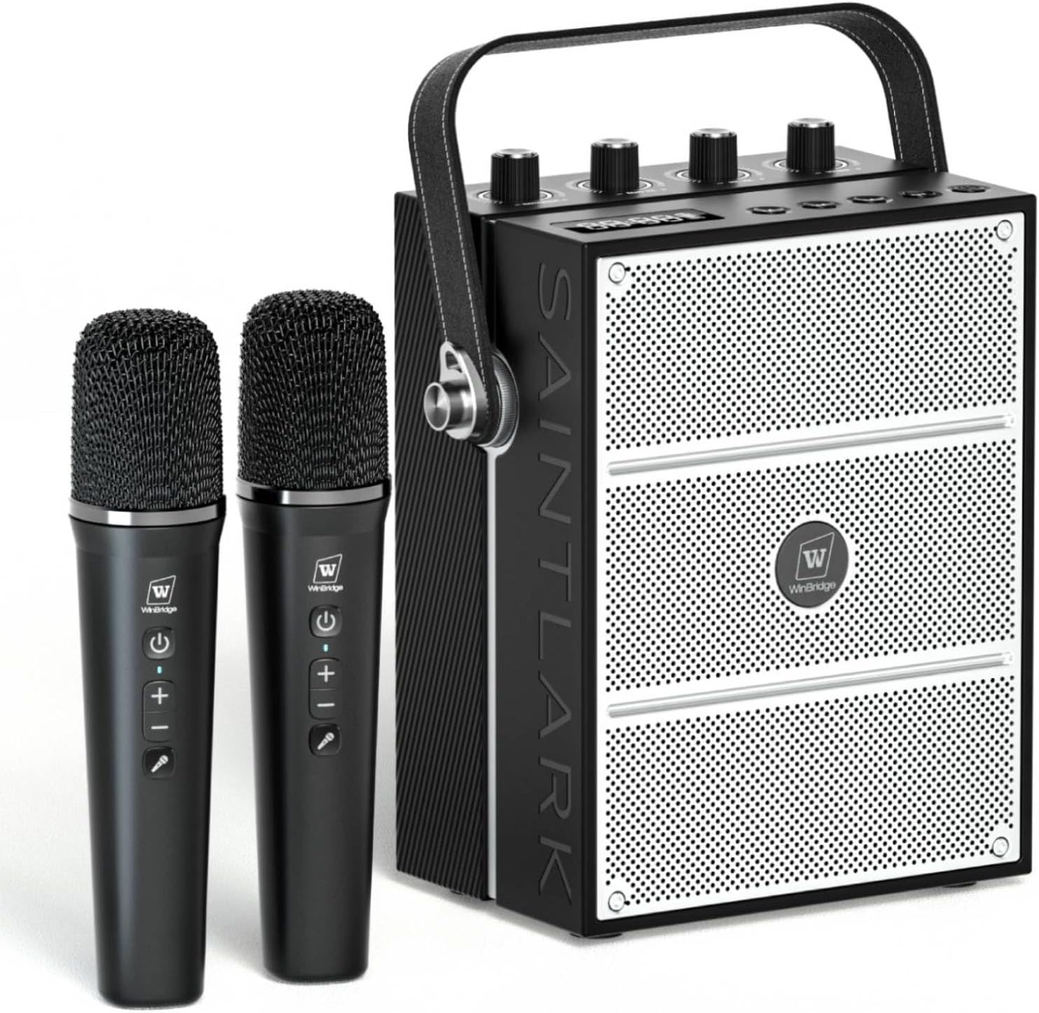 Wireless Microphones PA System - Boost Your Voice