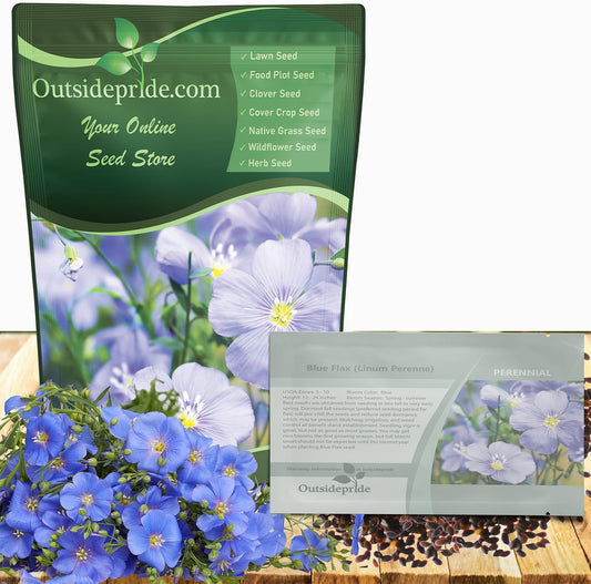 Blue Flax Seeds for Planting - Drought-Tolerant Perennial Blooms