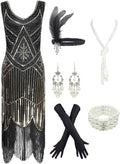 1920s Gatsby Sequin Fringed Paisley Flapper Dress (Style SWRC)