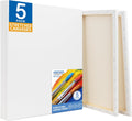 Stretched White Blank Canvas 16x20 in 5 Pack - Primed, Triple Gesso