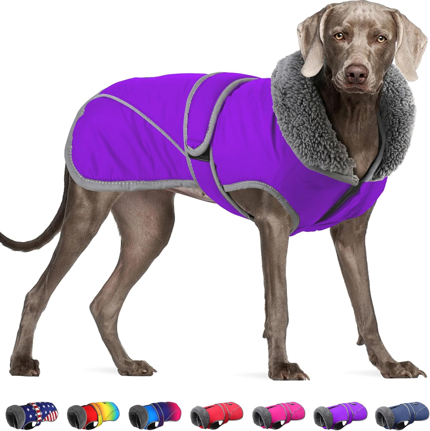Dogcheer Waterproof Dog Coat for Cold Weather and Winter Fun