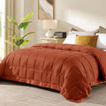 Queen Size Down Alternative Blanket with Satin Trim - All-Season