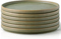 AmorArc Stoneware Dinner Plates Set of 6 10.5 in - Modern Reactive