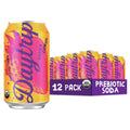 Daytrip Organic Sparkling Prebiotic Soda, Low Sugar 12-Pack - Berry