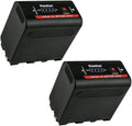 Kastar 2 Pack Battery Replacement for Sony NP-F980 Pro - High Capacity