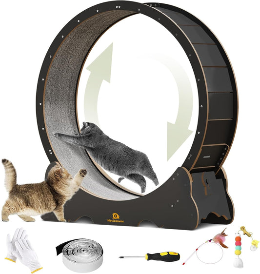 Cat Wheel for Indoor Cats - 48 in XL Large Exercise Treadmill
