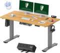 FLEXISPOT EN2 Electric Standing Desk 55 x 28 for Ergonomic Comfort