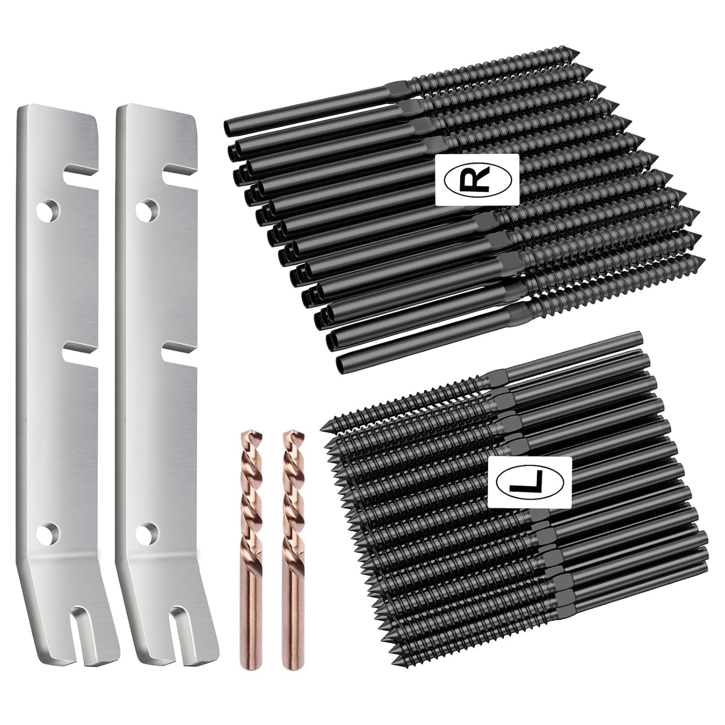 BLIKA 60 Pack T316 Stainless Steel Black Swage Lag Screws