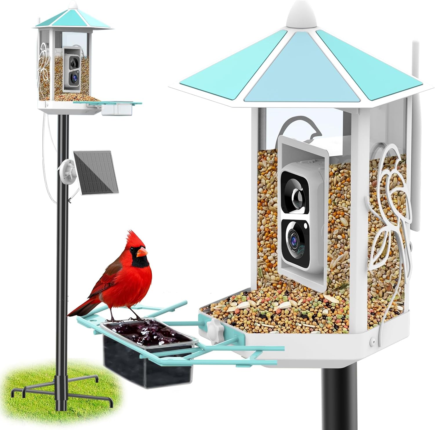 Smart Solar Bird Feeder - 2K Live Stream, AI Capture, Unique Gift