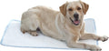 Dog Cooling Mat for Large Dogs XL 43in x 28in - Quick Cooling Crate