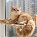 Cat Window Perch with Strong Suction Cups - Foldable Hammock