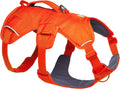 Web Master Multi-Use Support Dog Harness - Blaze Orange, Medium