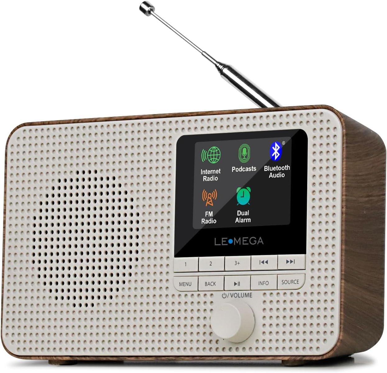 LEMEGA IR1 Portable WiFi Internet Radio with Bluetooth Speaker