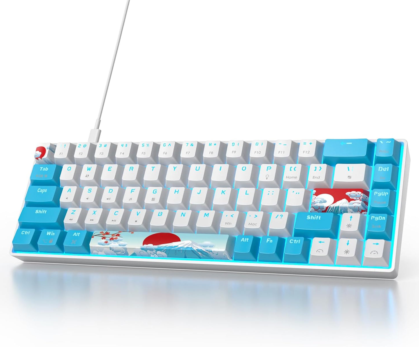 Owpkeenthy Wired 65% Mechanical Gaming Keyboard with RGB Backlit