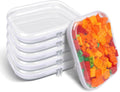 Clear Hard Plastic Zipper Case - Transparent Travel Organizer Set