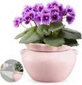 6.3 in African Violet Self Watering Pot - Ceramic Pink for Indoor