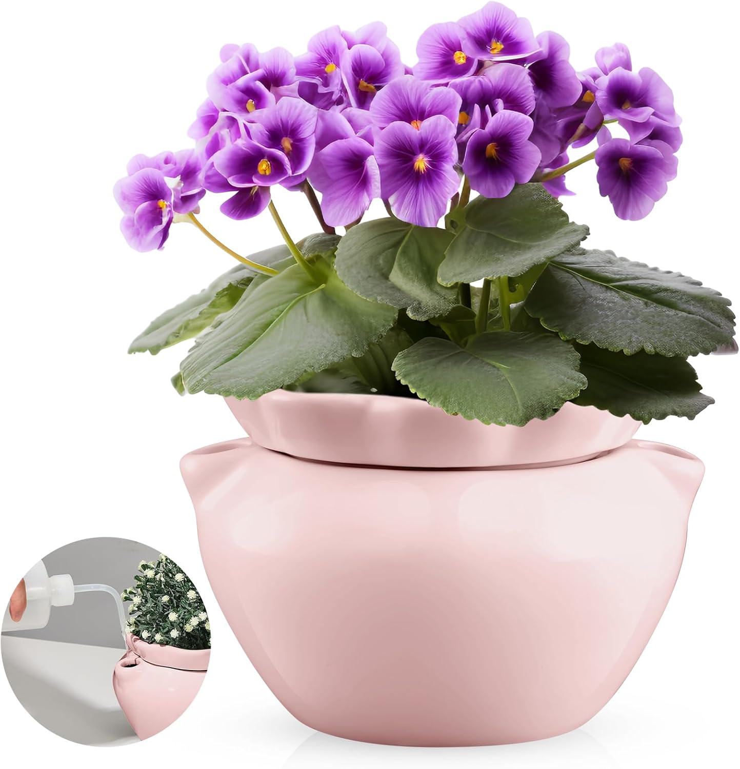 Self Watering African Violet Pots for Thriving Indoor Plants