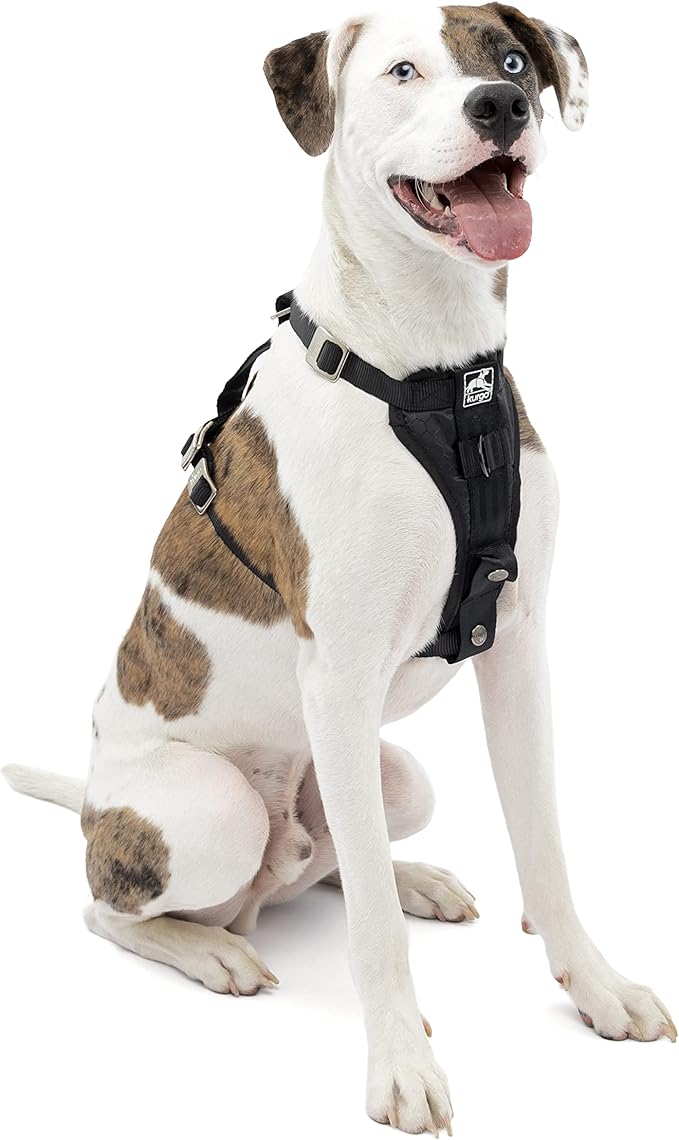 Kurgo Dog Harness for Medium Dogs - Crash Tested Safety Gear