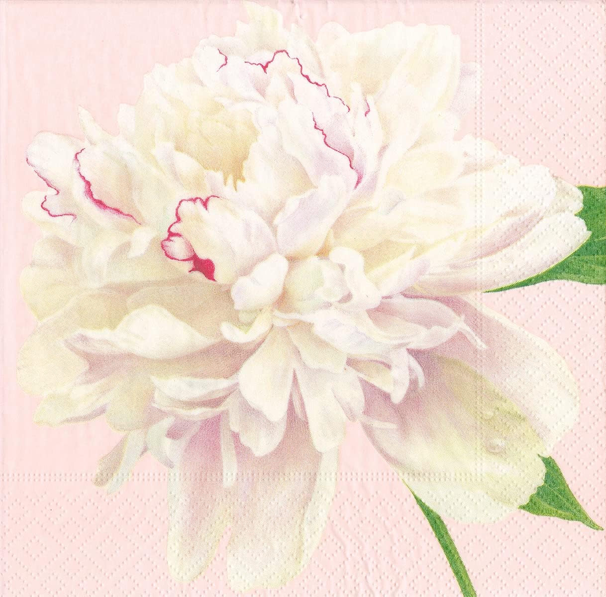 Luxurious Caspari Peony Cocktail Napkins, 20 Pack Blush