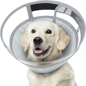 Soft Dog Cone Collar for Post-Surgery Recovery and Comfort