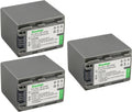 Kastar 3-Pack Battery NP-FP90 NP-FP91 Replacement - High Capacity