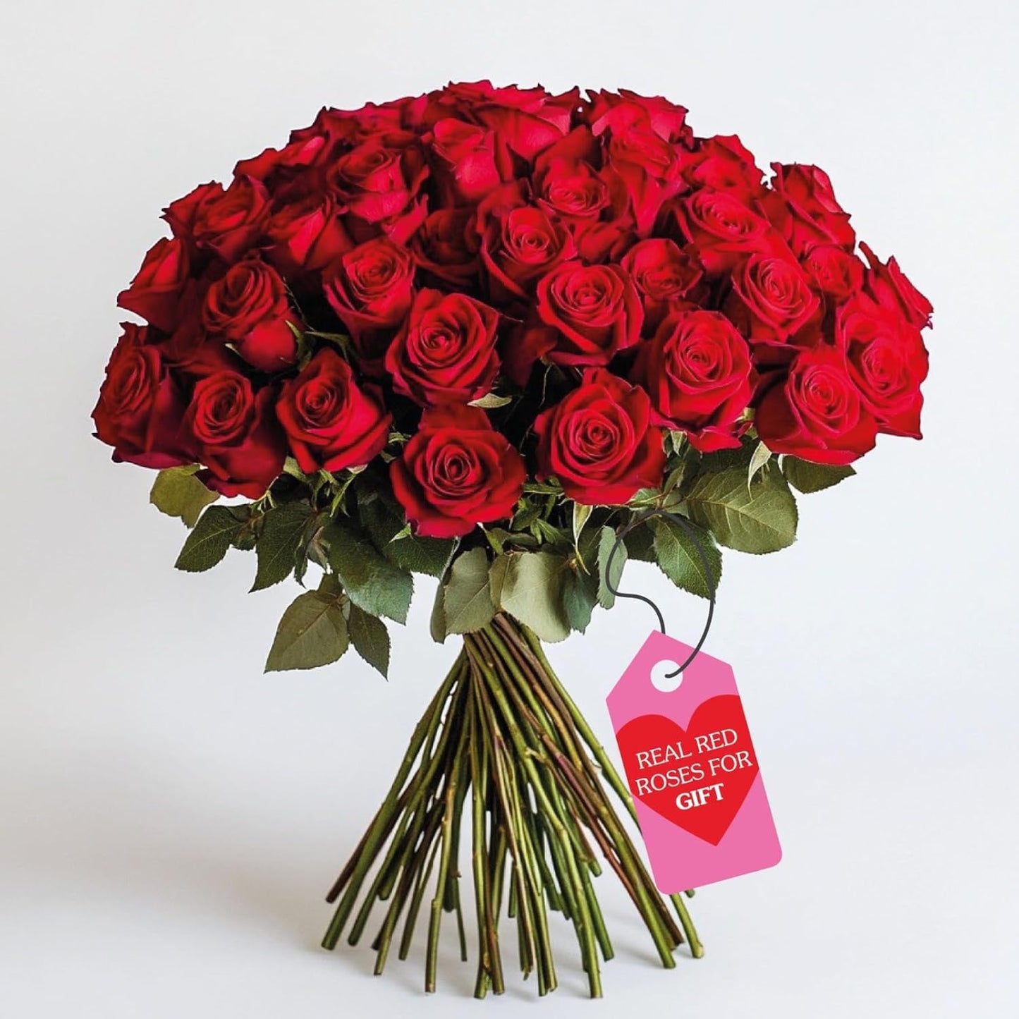 GlobalRose Real Fresh Cut Red Roses - Perfect for Any Occasion