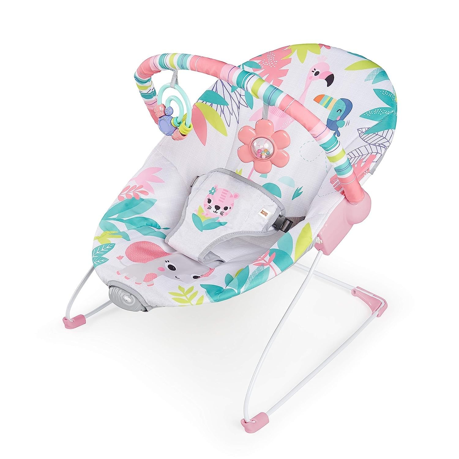 Bright Starts Baby Bouncer - Soothing Vibrations, Removable Toy Bar