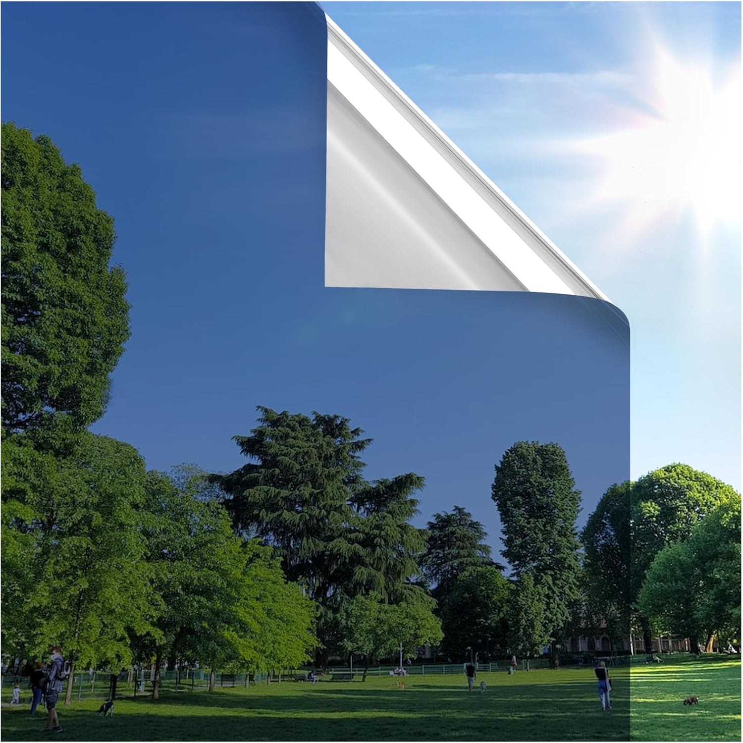 rabbitgoo One Way Window Tint for Home - Privacy Film 23.6 in