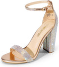 DREAM PAIRS Women's Hi-Chunk High Heel Pump Sandals (Style XWBC)