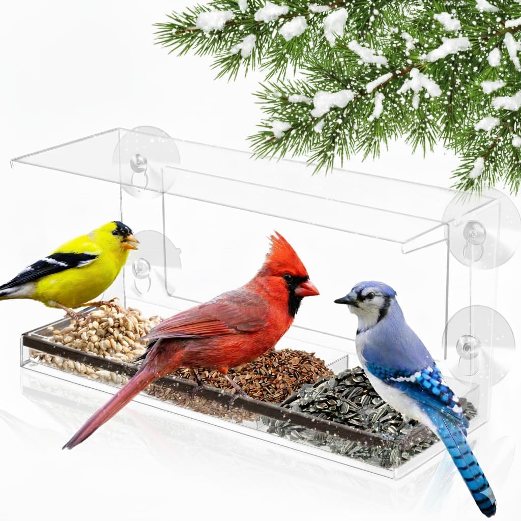 Clear Window Bird Feeder - Sturdy Design for Easy Watching