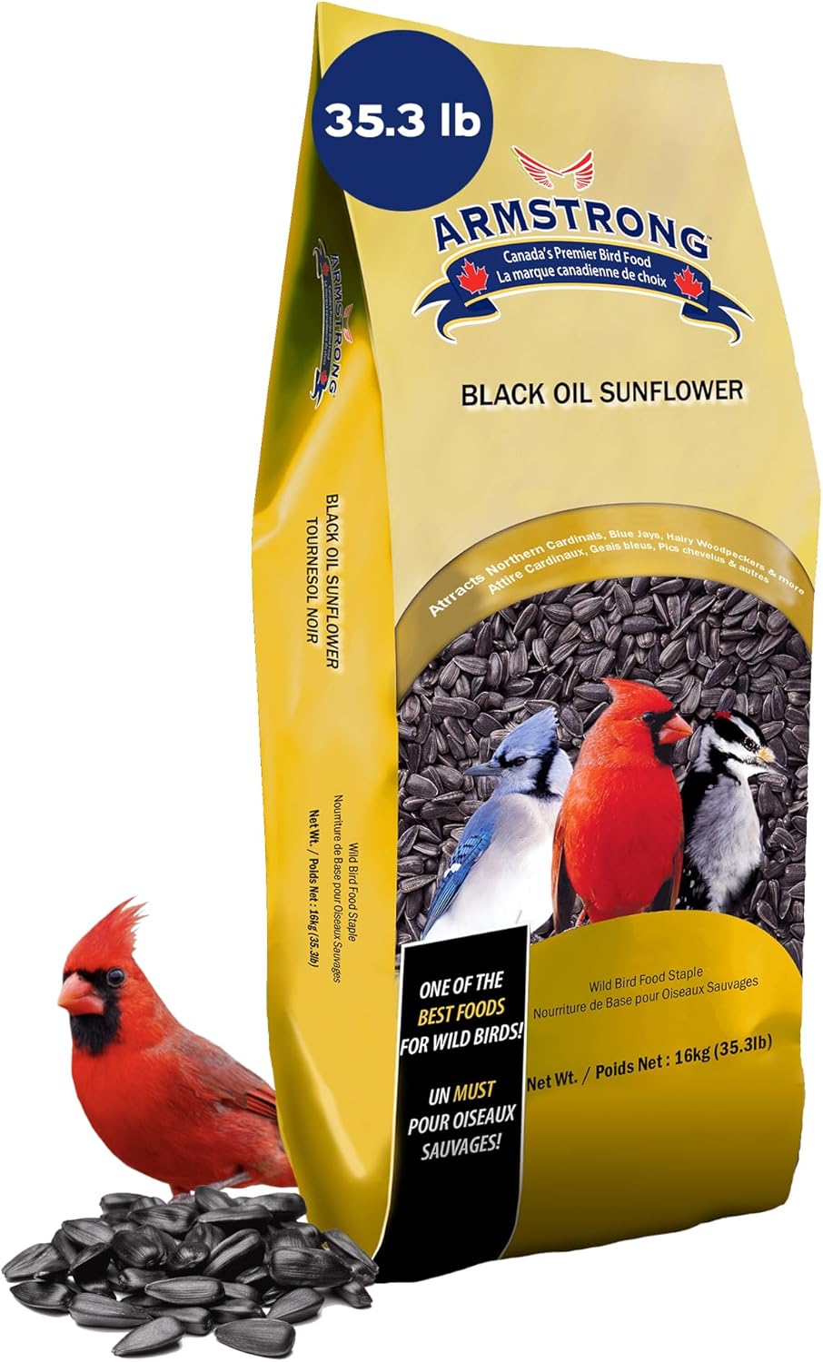 Armstrong Wild Bird Food Black Oil Sunflower Seed for Feeders