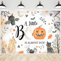 Halloween Baby Shower Backdrop A Little Boo is Almost Due - Photo