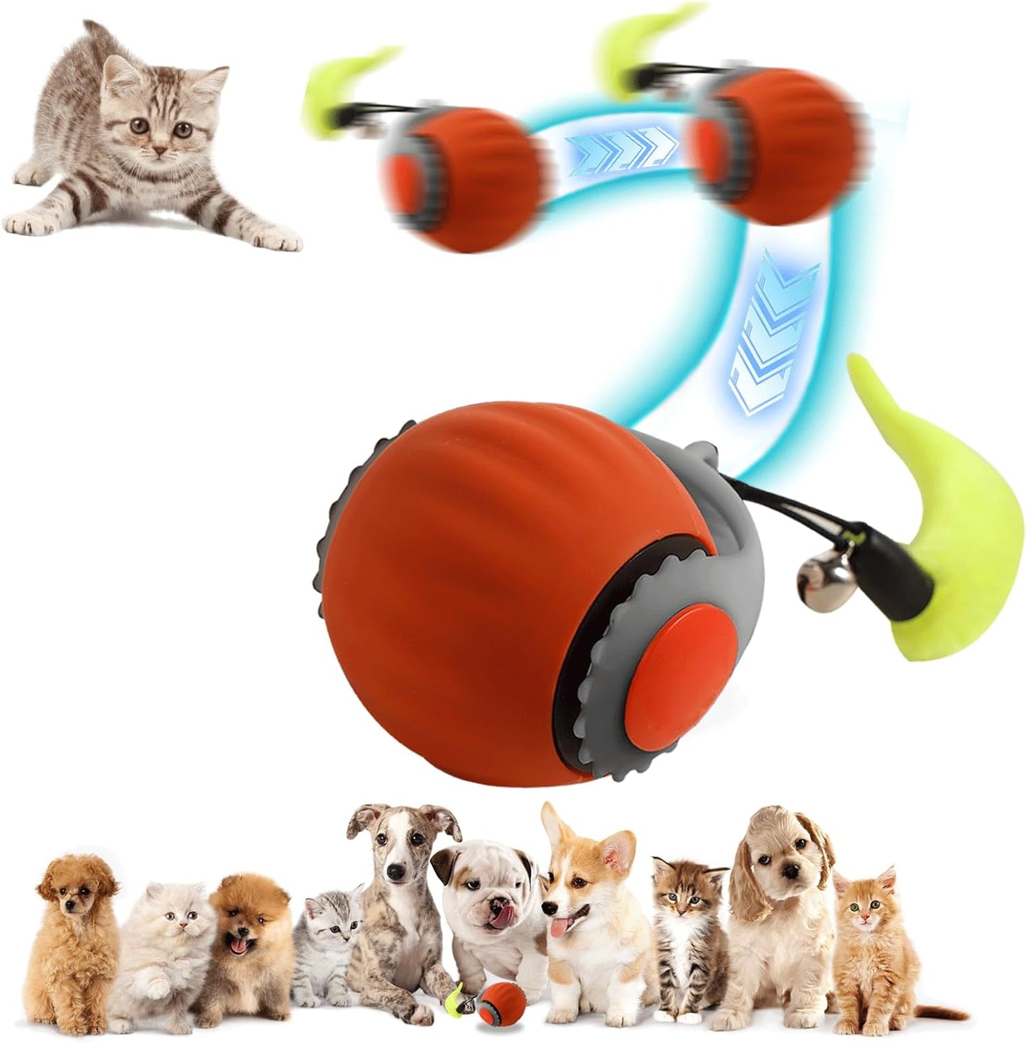 360 Interactive Pet Toy - Turbo Fun for Cats!