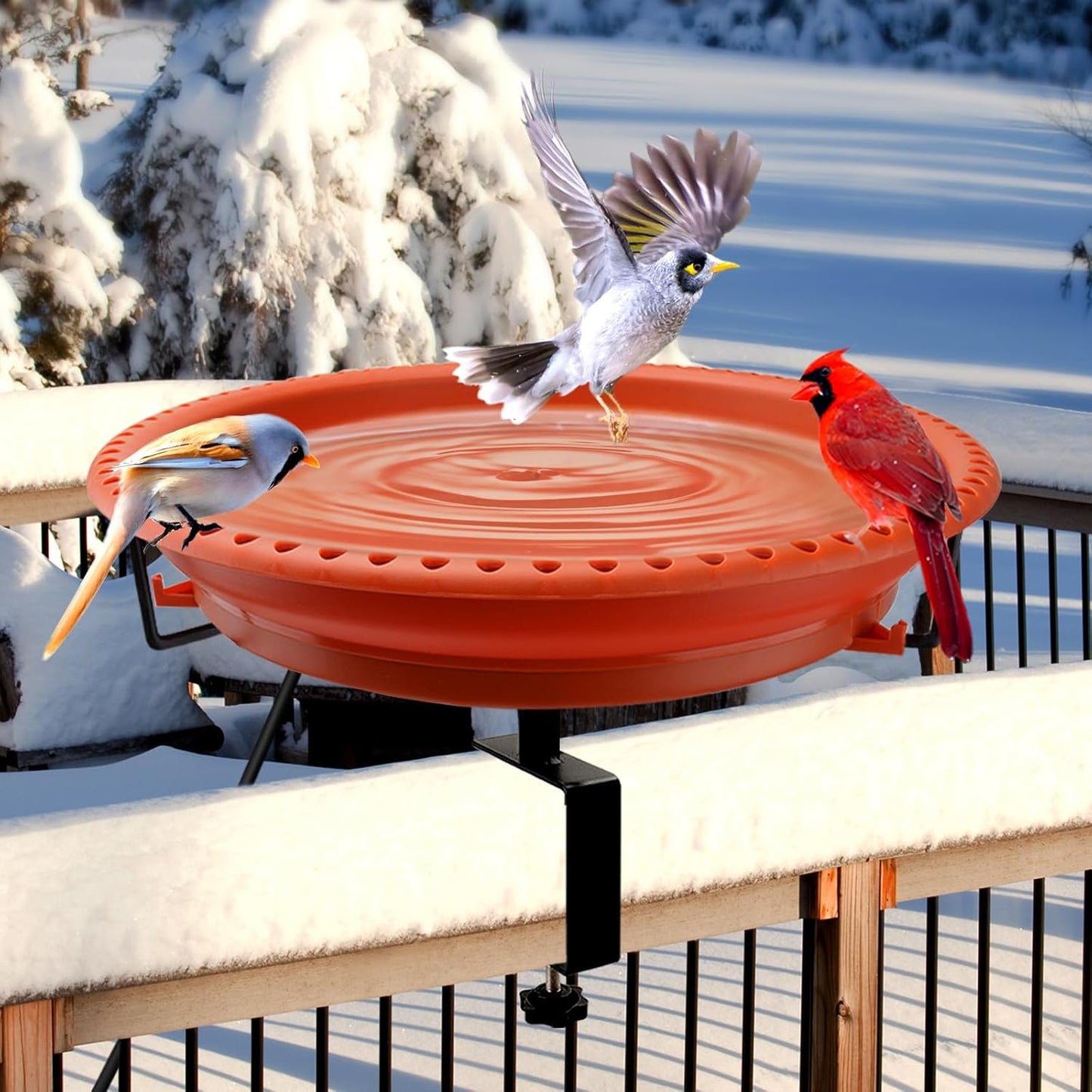Daoeny Heated Bird Baths for Outdoors - Winter Bird Bath Decor