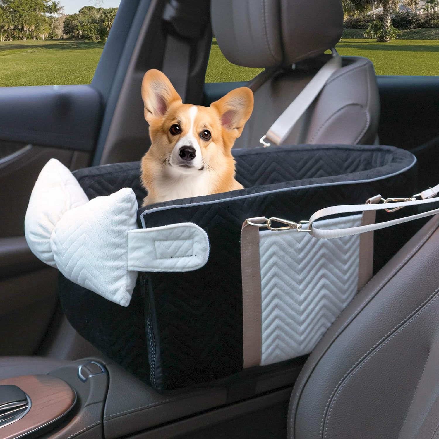 Small Dog Car Seat with Soft Cushion for Safe Travel Comfort