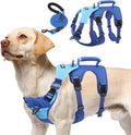 Escape Proof Dog Harness and Leash Set Blue - Large No Pull Vest
