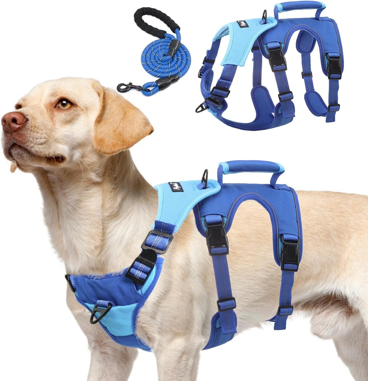 Escape Proof Dog Harness and Leash Set for Medium Large Dogs
