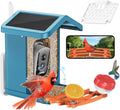 AI Bird Feeder: 2.5K HD Camera, Solar Powered, Weatherproof - ECOZATU