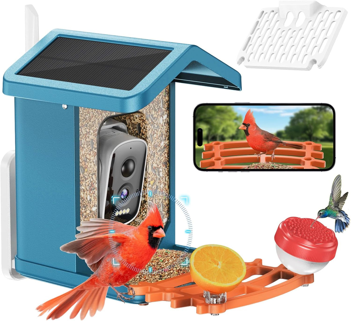 AI Bird Feeder: 2.5K HD Camera, Solar Powered, Weatherproof - ECOZATU